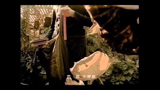 張清芳-《深邃與甜蜜》-  (豐華唱片official 官方完整版MV)