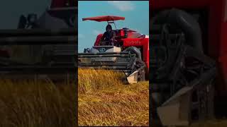 alat panen padi kubota dc-93 #combine #combineharvester #viral #raffiahmad #kombi #tiktok