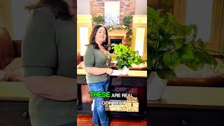 Faux Plants