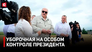 Аграрии сражаются с погодой за урожай! Как обстоят дела с уборочной?