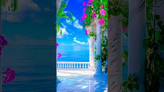 #howtogainyoutubesubscribers​#Shorts​#Youtubeshorts​#shortvideo​#viralshortsvideo​#shortsvideo#Sho🥰🥰