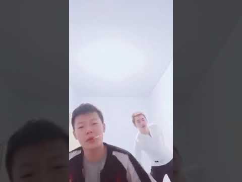 古惑仔系列