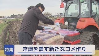 稲作の常識を覆す　気候変動に左右されない“田んぼに水を張らない”栽培方法 【Jチャンいわて】