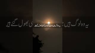“Zikr Allah se dil ko sukoon milta hai 💚”#IslamicReminder #Quran #hadith