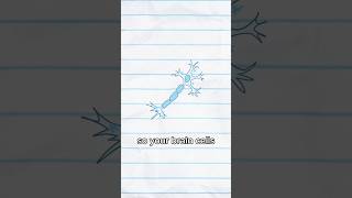 3 brain facts I bet you didn’t know