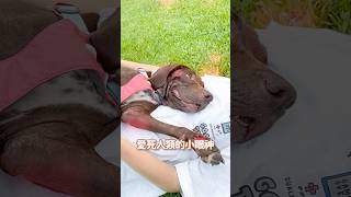 我只能說…很恭喜她失業了，這種個性實在比較適合當在家貴婦😂