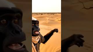 ai money video #aimoney #money #aivideo