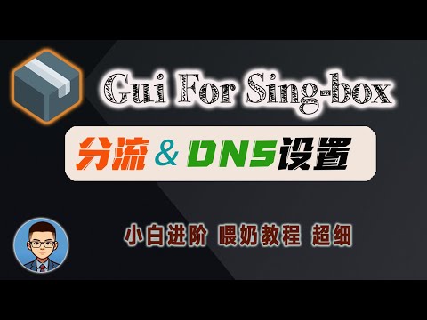 排名第一的代理工具Sing-Box，精细分流和DNS设置教程！玩转的Gui for sing-box客户端，策略组规则集路由设置和DNS规则设置｜节点和订阅转换（进阶篇）