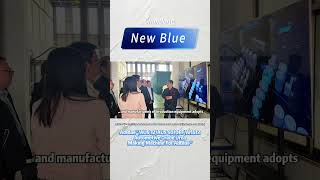 Clients around the world choose NEW BLUE for one reason