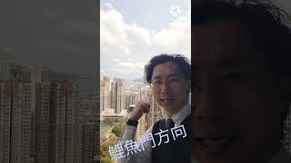 何文田站 "瑜一 天海" 地鐵站電梯直達住宅,, 正南海景, 34校網, 最後39間, 罕有一房