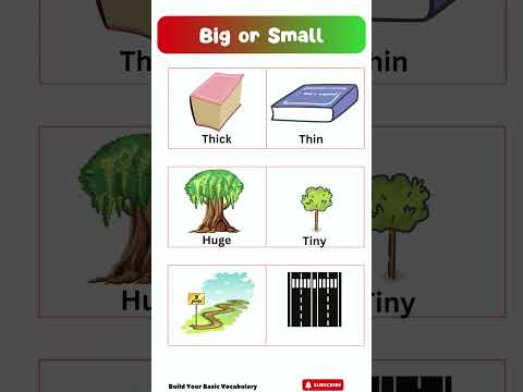 📏 Big vs. Small, Tall vs. Short & More! Learn Opposites in 60 Seconds