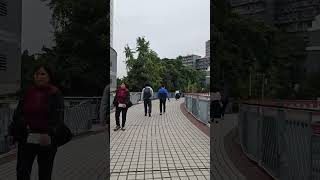 How to cross the street in Chongqing?...#china #chongqing #travel #cityview #infrastructure