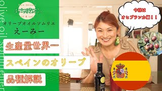 オリーブオイルの人気品種解説：「オヒブランカ」