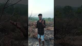 ফানি ভিডিও