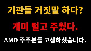 기관들 거짓말 하다? 개미 털고 주웠다. AMD 주주분들 고생하셨습니다.