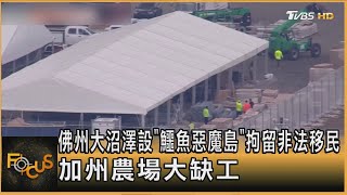 佛州大沼澤設「鱷魚惡魔島」 拘留非法移民　加州農場大缺工｜方念華｜FOCUS全球新聞20250701 @tvbsfocus