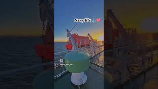 Merchant navy #navy#navychief #merchantnavy #ship #shortvideo #shortsvideo #shorts #shortsfeed