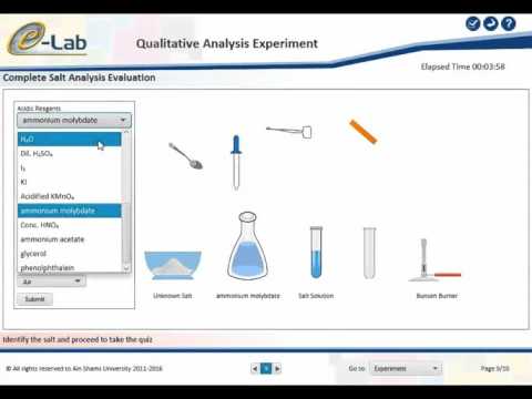 Qualitative Analysis of Inorganic Salts Experiment Overview (www.elab.edu.eg)