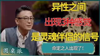 灵魂伴侣的终极信号！异性之间出现这3种感觉，是宇宙在提醒你：命定之人出现了！#窦文涛 #梁文道 #马未都 #周轶君 #马家辉 #许子东 #圆桌派 #圆桌派第七季