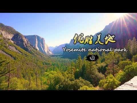 自驾优胜美地国家公园yosemite national park -gopro7 & sony a7r3