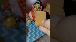 Radhe Radhe ❤️💓#laddugopal #premanandjipravachan #hindugreeting #radheshyam #reelkrofeelkro #like