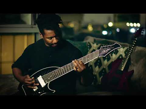 ANIMALS AS LEADERS - Backpfeifengesicht (Alle Gomes Solo)