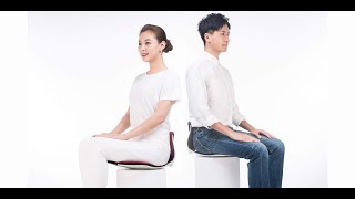 INSBES骨盤サポートチェア 姿勢輔正