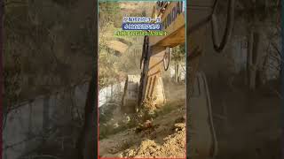 小樹不小心被挖掘機“秒殺”！小樹：我這麼努力長大，居然就這樣消失了！