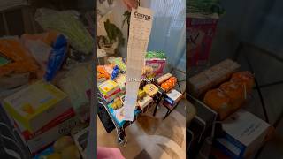 コストコ爆買い💸購入品紹介 #アラサーol #コストコ #costco #コストコ購入品紹介