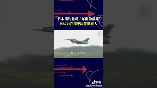王云飞：日方搞钓鱼岛东海仲裁案，自以为海牙法院里有人。
