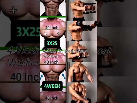 4-Week Dumbbell Chest Workout - Build a Bigger Chest at Home!💪🔥#chestworkout #gymlife #exercise