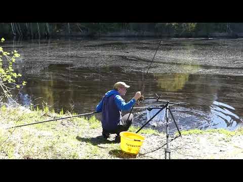 Feeder fishing
