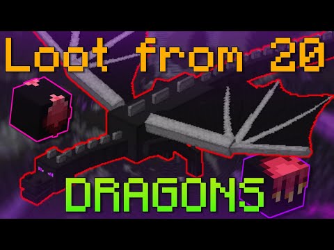 Loot from 20 Dragons (Hypixel Skyblock)