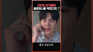 산모와 아기중에 하나를 선택해야 한다면? #폭싹속았수다 #박보검 #아이유