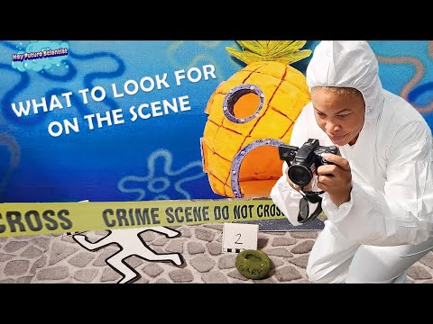 How to Photograph a Crime Scene | Forensic Photography 101