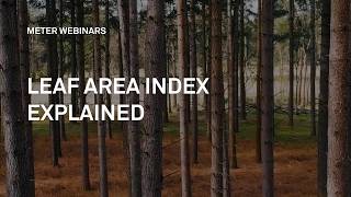 Leaf Area Index Explained: Theory, Measurement, and Applications