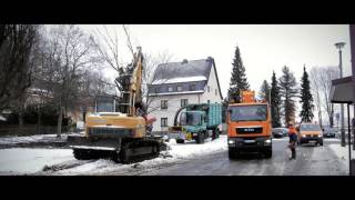 Grünland GmbH - Leistungsbereich Baumfällung