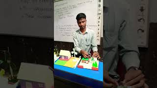 Science project of class 8th $ JILANI sir $ A.E.K Academy #roblox #robloxcoding #classicroblox