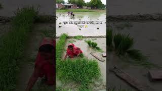 dekh lo varna pachtaoge#1kcreator #farming #fouryou