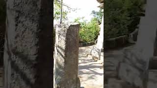 Nandi Hills - Nandi A Meditative Bull. #nandihills #bangalore #namo #namo #shorts  🙏❤️
