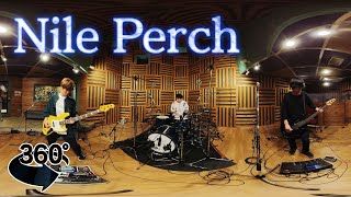 【SYS】生配信ライブ『Nile Perch』 9月30日　〜Nile Perchリリースイベント〜