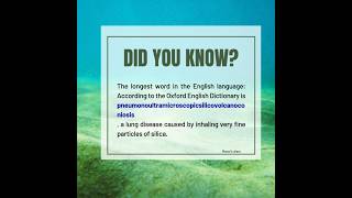 #didyouknow #didyouknowfacts #englishvocabmastery #vocabboost