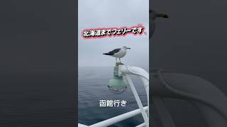 北海道はでっかいどう#北海道#津軽海峡フェリー#大間函館#家族旅行#パグ#ラベンダー#富良野#夕張メロン#カモメ#宗谷岬#ロシア#キャンピングカー
