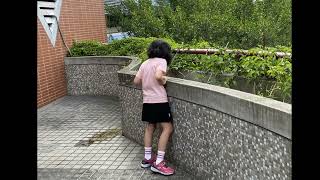 關渡國小110學年度清淨綠牆