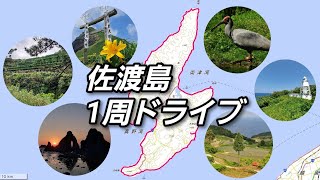 【朱鷺がすむ郷】日本海最大の離島 佐渡島の風景が神秘的すぎた！！