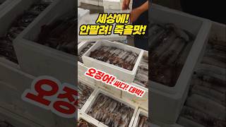 Don't sell it, it's killing me! Help me! #Market #Squid #Taean #East Sea #Sokcho #Eat #Plummet #Sale