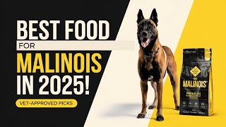 Best Dog Food for Belgian Malinois in 2025 Vet Approved!
