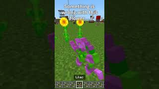 Hold up- #shorts #minecraft #minecraftglitches #minecraftshorts #fyp #itsmejames #gaming