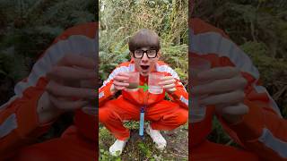 Water filter straw