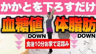【血糖値が驚くほど下がる!】食後ウォーキング&かかと落としで痩せ体質に